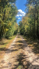 Fototapeta premium A serene dirt path surrounded by colorful autumn foliage.