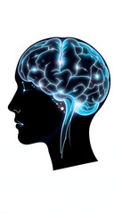 Obraz premium The concept of the study of the psyche isolated with white highlights, png