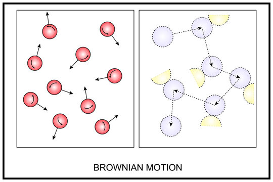Scientific diagram showing Brownian motion with particles and trajectories