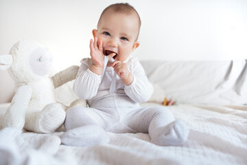 Adorable Baby Playing with Hands and Stuffed Animal on Bed