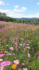 Obraz premium A vibrant field of wildflowers under a blue sky with distant mountains.