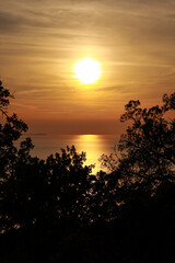 Obraz premium sunset of a distinct orange color over the shimmering sea surface in Alba, in the foreground the silhouette of dense trees and bushes