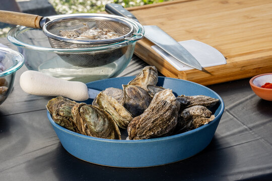 Oysters in the shell and oyster knife 