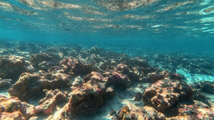 Fototapeta premium Underwater scene showcasing coral formations and marine environment.