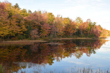 Colorful fall forest reflected in lake