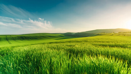 Obraz premium Close-Up of a Landscape with Green Fields
