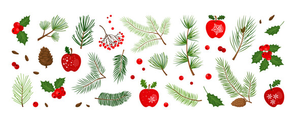 Christmas pine cone, tree, winter wood, fir, mistletoe, holly berry, leaf branch, apple, Xmas spruce, needle twig, evergreen decoration isolated on white background. Holiday nature vector illustration