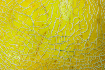 Detail of moisturizing fruit, melon and rind texture, fresh fruit, source of vitamins, minerals and...