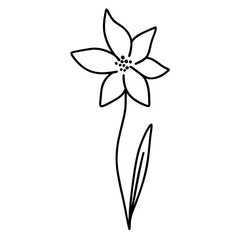 Cute flower doodle 