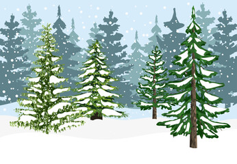 Winter snow forest illustration in flat style