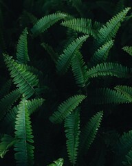 Processed with VSCO with a6 preset