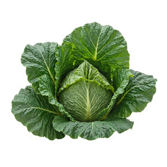 Obraz premium Fresh green cabbage with layered crinkled leaves on white background