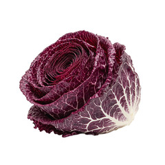 Obraz premium Vibrant purple radicchio head with white veins on white background