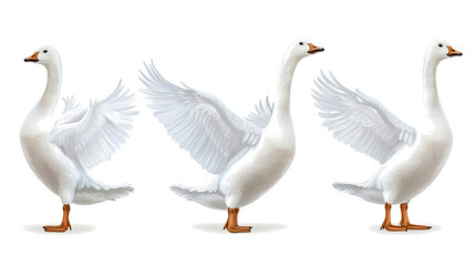 Obraz premium White Geese Spreading Their Wings in a Graceful Display Generative AI