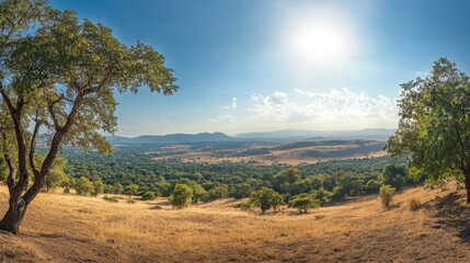 Fototapeta premium A panoramic view of a lush valley with rolling hills and a bright blue sky.