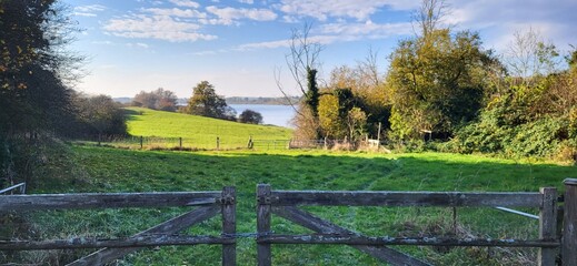 Fototapeta premium Tranquil Lakeside View with Wooden Fence on a Sunny Day