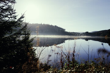 Mystischer See im Morgennebel im Schwarzwald am Feldberg mit Spiegelung der Herbstlandschaft
