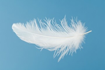 A serene capture of a single white feather gliding gently against a tranquil blue backdrop