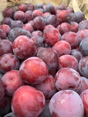 plums on market