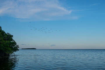 sea and sky