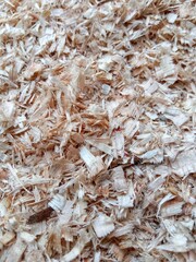 Shrimp texture background 