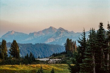 Mount Rainier National Park Sunset on 35mm Film