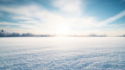 Obraz premium A tranquil winter landscape under a bright sun showcasing a vast, snowy field with blue skies and soft clouds in the background