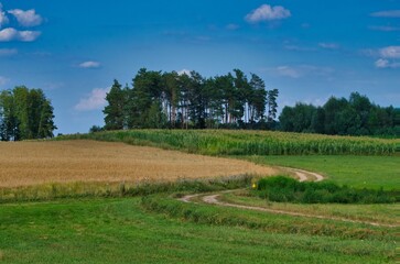 landscape with trees and blue sky, Poland, Countryside