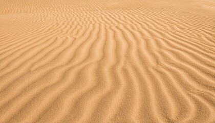 Fototapeta premium sand background