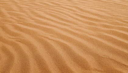Fototapeta premium sand background