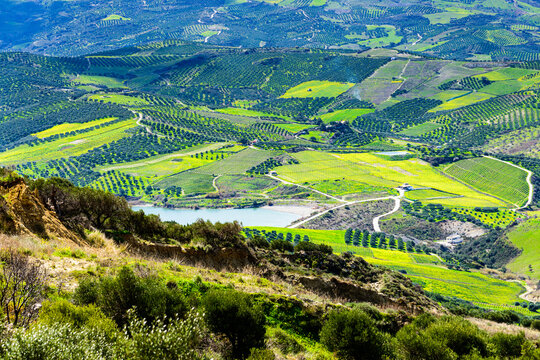 Unique panoramic aerial view of Archanes rural region landscape. Green meadows, olive tree groves, and vineyards with water supply infrastructure in foreground. Heraklion, Crete, Greece.