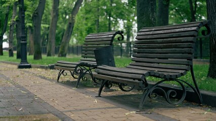 Ukraine Kyiv Summer August 2, 2024 Mariinsky Park recreation area many trees sidewalks for walks with benches and fences - Powered by Adobe
