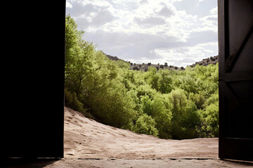 an open door in a dry desert landscape leading to a lush green forest