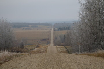 Long narrow gravel country road disappearing into the horizon, in autumn.