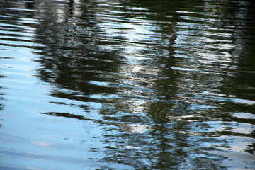 湖の水面の波紋