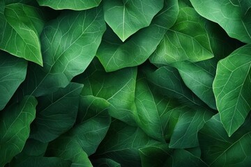 Naklejka premium Close-up of Green Leaf Texture with Sharp Organic Detail and Natural Background Blur, Perfect for Nature, Botanical, and Eco-Friendly Designs
