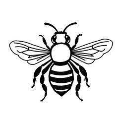 Bee vector image illustration
