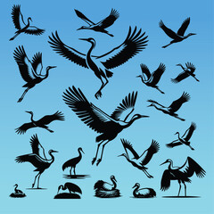 Vector set of crane icon silhouettes in a collection of different poses, including flight, nesting with eggs, standing, in display plus others. one color