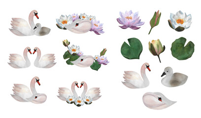Obraz premium Watercolor white swans, purple lotus, white waterlily , green leaves, bud, cute young bird Compositions with isolates For baby design, botanical decoration, avian logo Floral and bird illustration