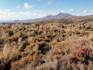 Tongariro