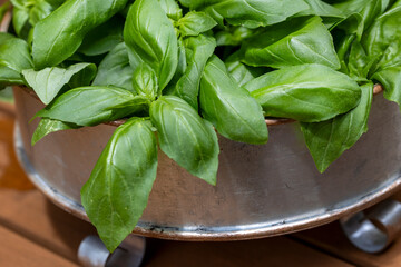 Freshly picked basil leaves in a metal container on a redwood garden cart.