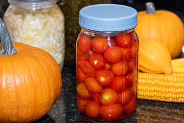 Mason jars filled with fermenting cherry tomatoes and cabbage on a kitchen counter top surrounded by dried corn and sugar pumpkins