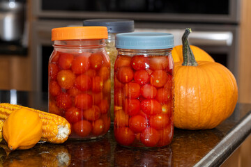 Mason jars filled with fermenting cherry tomatoes and cabbage on a kitchen counter top surrounded by dried corn and sugar pumpkins