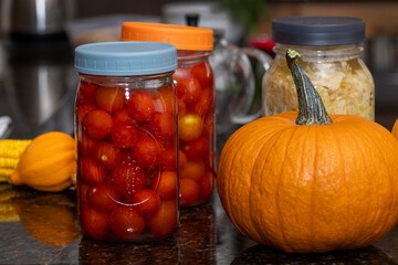Mason jars filled with fermenting cherry tomatoes and cabbage on a kitchen counter top surrounded by dried corn and sugar pumpkins