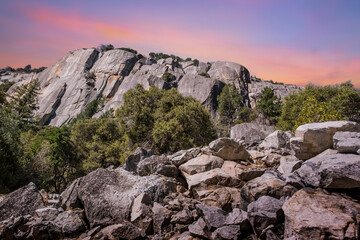 Amazing nature of Yosemite National Park with its mountains and woods in California, USA