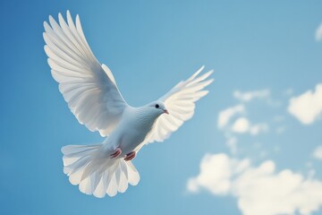 A pure white dove with outstretched wings gracefully soars through a bright blue sky, symbolizing peace and tranquility on a sunny day.