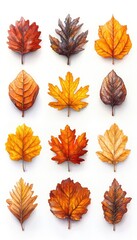 Fototapeta premium Twelve watercolor leaves in various shades. Ideal for fall-themed projects or nature illustrations.
