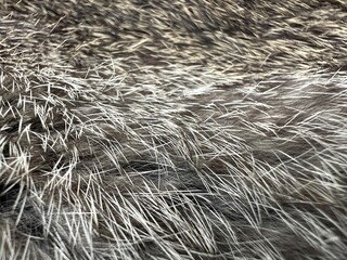 Close up texture of brown gray and white rabbit fur