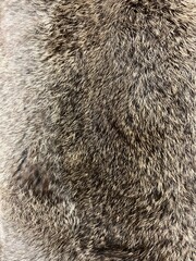 Close up texture of brown gray and white rabbit fur