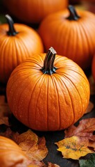 Closeup of a bright orange pumpkin. Perfect for autumn, fall, or Thanksgiving designs.